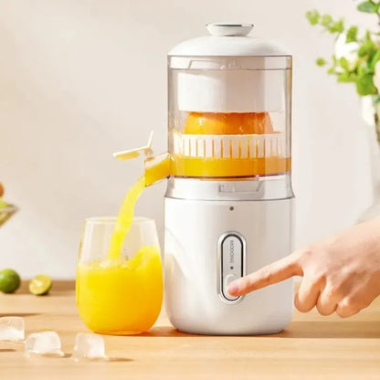 Portable Mini Juicer