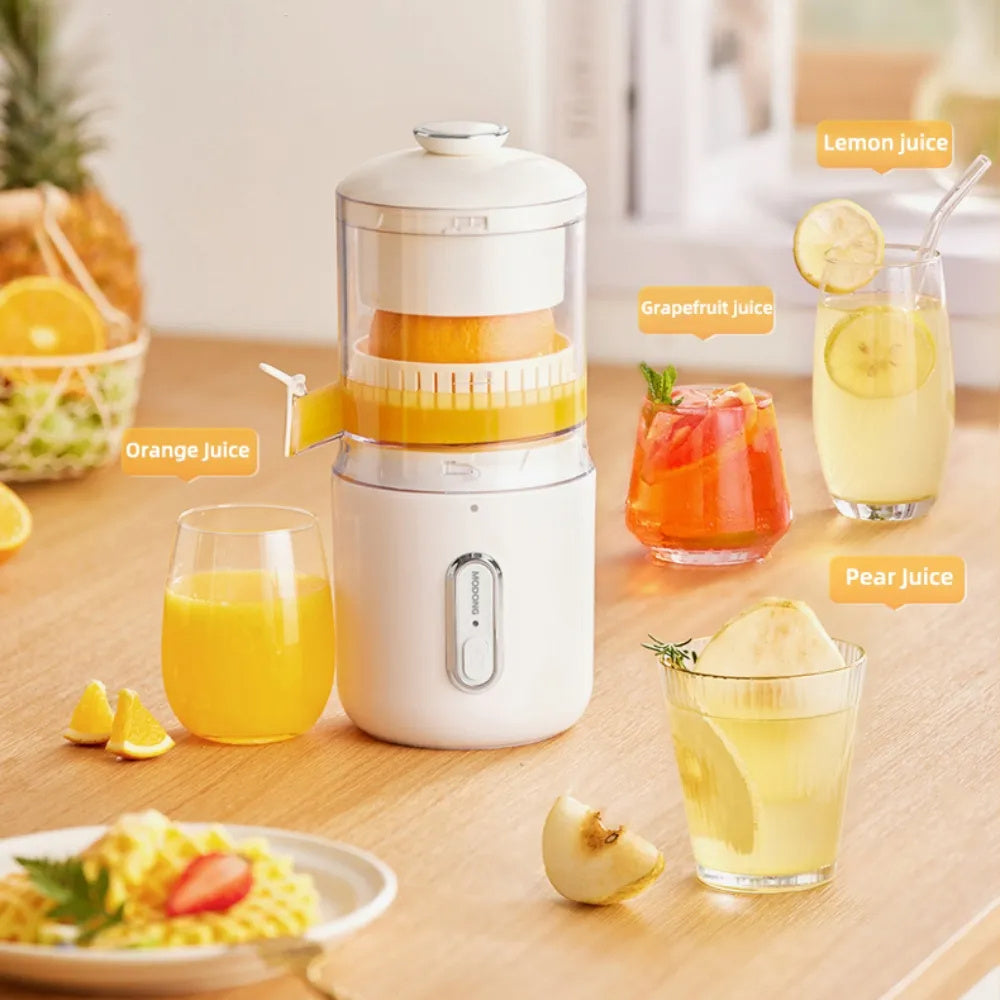 Portable Mini Juicer